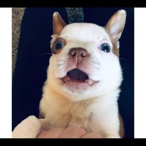 Meet your Posher, Hailey